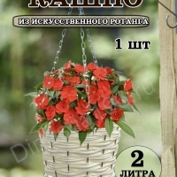      - dinastia196.ru - 